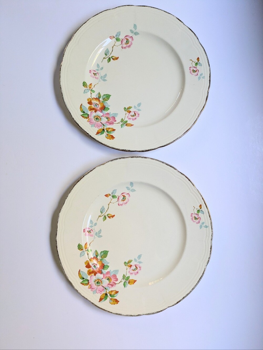 2 Vintage Alfred Meakin Art Deco Dinner Plates Floral Spray 9 3/4" Cottagecore